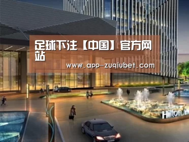 案例展示二