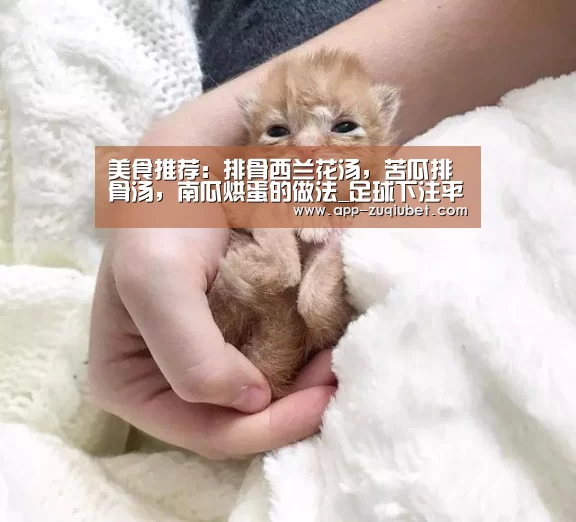 美食推荐:排骨西兰花汤,苦瓜排骨汤,南瓜烘蛋的做法_足球下注平台(图2) 足球下注平台