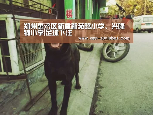郑州惠济区新建新苑路小学、兴隆铺小学|足球下注(图2) 足球下注