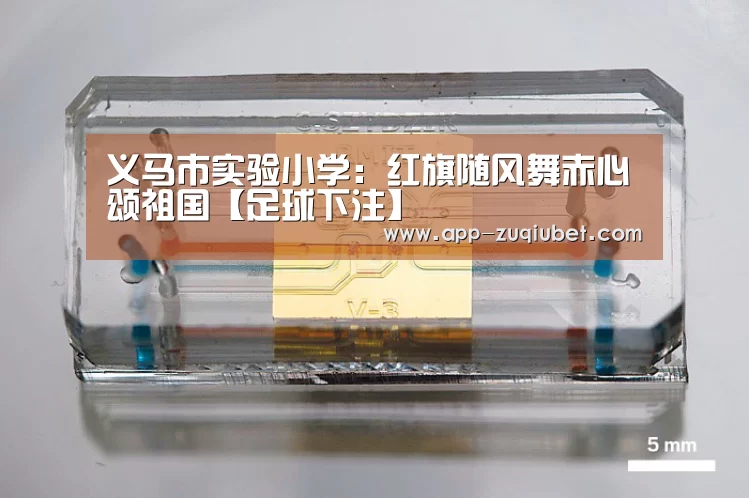 义马市实验小学:红旗随风舞赤心颂祖国【足球下注】(图2) 足球下注平台